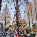 청룡카랜드 이미지