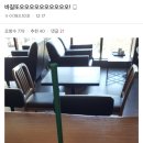 더게스트