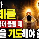 성체 이미지