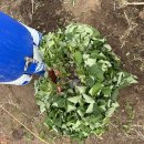 재욱농장 이미지