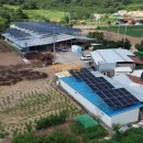 청풍 태양광발전소 이미지