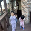 배화어린이집 이미지