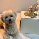 우주를 줄개 이미지