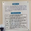 마리조아 이미지