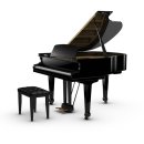 Chopin -Nocturne No.20 In C Sharp Minor Op.Post-Lento Con Gran Espressione 이미지
