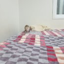 오석헌동물병원 이미지