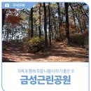 금성근린공원