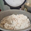 세지5일장 | 남원 인월 전통시장 맛집 인월 보리밥 나물뷔페