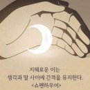 사이유지 이미지
