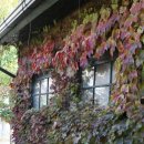 근대로의여행 골목투어2코스 이미지