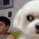 10月 시그니엘 프로포즈와 쇼메 웨딩밴드 구입(까악 까악🐦‍⬛)