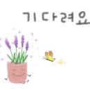 흥양농장 이미지