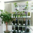 샤르망헤어아트 이미지