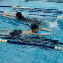 경희대 스마트 태권도장 이미지