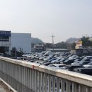 (주)토마토렌트카 이미지