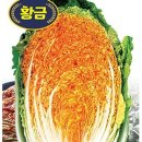 농업회사법인주식회사다농 이미지