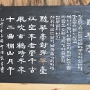 탄금대로 이미지