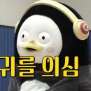 동해닭갈비 이미지