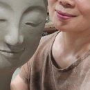 최은란농장 네이버블로그