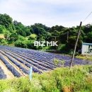 지성공인중개사사무소 이미지