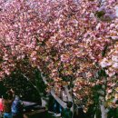 부산시립중앙도서관 이미지