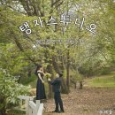 토탈 웨딩 탱자스튜디오 촬영 셀렉 앨범 수령 후기