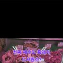 드셔봤소