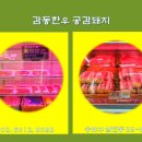 감동한우공감돼지