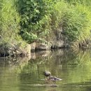 일미양꼬치 판교역점 이미지