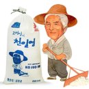 더솔트 이미지