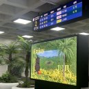 #8.Wedding 제주 웨딩 스냅 새러데이포피엠, 청담지민 후기
