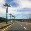 서귀중앙초등학교 병설유치원 이미지