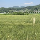 양심돈 - 기장군 해빛6로 43-3 | 양심돈