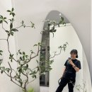 [향남헬스장] 개인 샤워실이 있는 어뮤즈피트니스 내돈내산 후기✨(PT는 지우쌤)