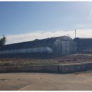 사방외갓집마을 이미지