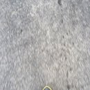 우리1민박 이미지