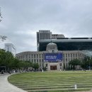 2026 운동하는 서울광장 스텝박스 후기 목요일밤에