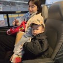 아산로+번영로86번길 | 두돌 29개월 아기랑 겨울 제주 여행 1일차 - 제주보말칼국수/이너리스/에코랜드/각지불