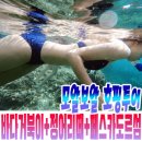 시아바다민박 | 세부 모알보알 "거북이 정어리떼 페스카도르섬" 호핑투어 최신후기 [풀영상]