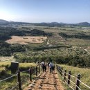 새별오름컨텐츠