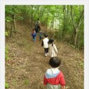 (주)오월에숲 이미지