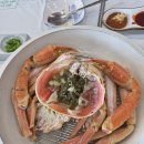 마라도회집 - 안성시 중앙로 230-5 | 포항 물회 맛집! 40년 전통 '마라도회식당' 대게세트 후기🦀🐟
