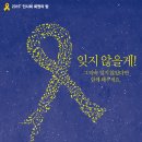 2015' 인사회 회원의 밤은 ＜세월호 참사 1년 '범국민 추모제'＞와 함께 합니다. 이미지