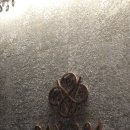 구월호텔 | [리뷰]인천 랜더스필드, 인천종합터미널근처 호텔 인천 구월 호텔베이 204후기