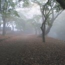 하루의 기억 이미지