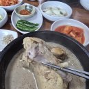 삼길포 맛집, 대산 들깨삼계탕 방문 후기