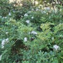 사직2치안센터 이미지