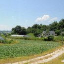 여주-0898 이미지