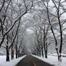 오선농장 이미지