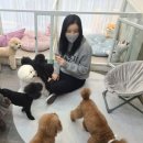 곰스살롱 이미지